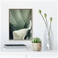 Picture of Sage Leaves  _GroupedProduct_Rectangle_Portrait_Photography _GroupedProduct_Rectangle_Portrait_Canvas_Framed_