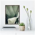 Picture of Sage Leaves  _GroupedProduct_Rectangle_Portrait_Photography _GroupedProduct_Rectangle_Portrait_Canvas_Framed_