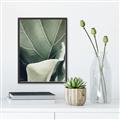 Picture of Sage Leaves  _GroupedProduct_Rectangle_Portrait_Photography _GroupedProduct_Rectangle_Portrait_Canvas_Framed_