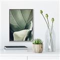 Picture of Sage Leaves  _GroupedProduct_Rectangle_Portrait_Photography _GroupedProduct_Rectangle_Portrait_Canvas_Framed_