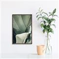 Picture of Sage Leaves  _GroupedProduct_Rectangle_Portrait_Photography _GroupedProduct_Rectangle_Portrait_Canvas_Framed_