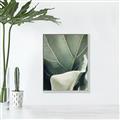 Picture of Sage Leaves  _GroupedProduct_Rectangle_Portrait_Photography _GroupedProduct_Rectangle_Portrait_Canvas_Framed_