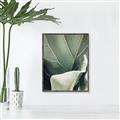 Picture of Sage Leaves  _GroupedProduct_Rectangle_Portrait_Photography _GroupedProduct_Rectangle_Portrait_Canvas_Framed_
