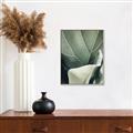 Picture of Sage Leaves  _GroupedProduct_Rectangle_Portrait_Photography _GroupedProduct_Rectangle_Portrait_Canvas_Framed_
