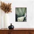 Picture of Sage Leaves  _GroupedProduct_Rectangle_Portrait_Photography _GroupedProduct_Rectangle_Portrait_Canvas_Framed_