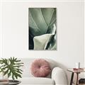 Picture of Sage Leaves  _GroupedProduct_Rectangle_Portrait_Photography _GroupedProduct_Rectangle_Portrait_Canvas_Framed_