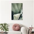 Picture of Sage Leaves  _GroupedProduct_Rectangle_Portrait_Photography _GroupedProduct_Rectangle_Portrait_Canvas_Framed_
