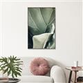 Picture of Sage Leaves  _GroupedProduct_Rectangle_Portrait_Photography _GroupedProduct_Rectangle_Portrait_Canvas_Framed_