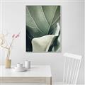 Picture of Sage Leaves  _GroupedProduct_Rectangle_Portrait_Photography _GroupedProduct_Rectangle_Portrait_Canvas_Framed_