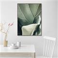 Picture of Sage Leaves  _GroupedProduct_Rectangle_Portrait_Photography _GroupedProduct_Rectangle_Portrait_Canvas_Framed_
