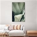 Picture of Sage Leaves  _GroupedProduct_Rectangle_Portrait_Photography _GroupedProduct_Rectangle_Portrait_Canvas_Framed_