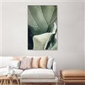 Picture of Sage Leaves  _GroupedProduct_Rectangle_Portrait_Photography _GroupedProduct_Rectangle_Portrait_Canvas_Framed_