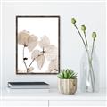 Picture of Sepia Botanic _GroupedProduct_Rectangle_Portrait_Photography _GroupedProduct_Rectangle_Portrait_Canvas_Framed_