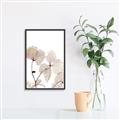 Picture of Sepia Botanic _GroupedProduct_Rectangle_Portrait_Photography _GroupedProduct_Rectangle_Portrait_Canvas_Framed_