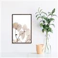 Picture of Sepia Botanic _GroupedProduct_Rectangle_Portrait_Photography _GroupedProduct_Rectangle_Portrait_Canvas_Framed_