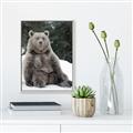 Picture of Snowy Bear _GroupedProduct_Rectangle_Portrait_Photography _GroupedProduct_Rectangle_Portrait_Canvas_Framed_