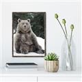 Picture of Snowy Bear _GroupedProduct_Rectangle_Portrait_Photography _GroupedProduct_Rectangle_Portrait_Canvas_Framed_