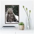 Picture of Snowy Bear _GroupedProduct_Rectangle_Portrait_Photography _GroupedProduct_Rectangle_Portrait_Canvas_Framed_