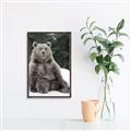 Picture of Snowy Bear _GroupedProduct_Rectangle_Portrait_Photography _GroupedProduct_Rectangle_Portrait_Canvas_Framed_