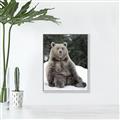Picture of Snowy Bear _GroupedProduct_Rectangle_Portrait_Photography _GroupedProduct_Rectangle_Portrait_Canvas_Framed_