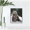 Picture of Snowy Bear _GroupedProduct_Rectangle_Portrait_Photography _GroupedProduct_Rectangle_Portrait_Canvas_Framed_