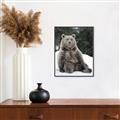 Picture of Snowy Bear _GroupedProduct_Rectangle_Portrait_Photography _GroupedProduct_Rectangle_Portrait_Canvas_Framed_