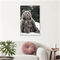 Picture of Snowy Bear _GroupedProduct_Rectangle_Portrait_Photography _GroupedProduct_Rectangle_Portrait_Canvas_Framed_