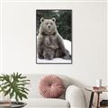Picture of Snowy Bear _GroupedProduct_Rectangle_Portrait_Photography _GroupedProduct_Rectangle_Portrait_Canvas_Framed_
