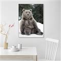Picture of Snowy Bear _GroupedProduct_Rectangle_Portrait_Photography _GroupedProduct_Rectangle_Portrait_Canvas_Framed_