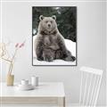 Picture of Snowy Bear _GroupedProduct_Rectangle_Portrait_Photography _GroupedProduct_Rectangle_Portrait_Canvas_Framed_