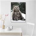 Picture of Snowy Bear _GroupedProduct_Rectangle_Portrait_Photography _GroupedProduct_Rectangle_Portrait_Canvas_Framed_
