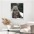 Picture of Snowy Bear _GroupedProduct_Rectangle_Portrait_Photography _GroupedProduct_Rectangle_Portrait_Canvas_Framed_