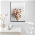 Picture of Soft Pink _GroupedProduct_Rectangle_Portrait_Photography _GroupedProduct_Rectangle_Portrait_Canvas_Framed_