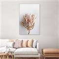 Picture of Soft Pink _GroupedProduct_Rectangle_Portrait_Photography _GroupedProduct_Rectangle_Portrait_Canvas_Framed_