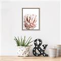 Picture of Soft Protea _GroupedProduct_Rectangle_Portrait_Photography _GroupedProduct_Rectangle_Portrait_Canvas_Framed_