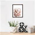 Picture of Soft Protea _GroupedProduct_Rectangle_Portrait_Photography _GroupedProduct_Rectangle_Portrait_Canvas_Framed_