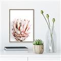 Picture of Soft Protea _GroupedProduct_Rectangle_Portrait_Photography _GroupedProduct_Rectangle_Portrait_Canvas_Framed_