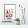 Picture of Soft Protea _GroupedProduct_Rectangle_Portrait_Photography _GroupedProduct_Rectangle_Portrait_Canvas_Framed_