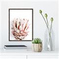 Picture of Soft Protea _GroupedProduct_Rectangle_Portrait_Photography _GroupedProduct_Rectangle_Portrait_Canvas_Framed_