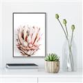 Picture of Soft Protea _GroupedProduct_Rectangle_Portrait_Photography _GroupedProduct_Rectangle_Portrait_Canvas_Framed_