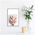 Picture of Soft Protea _GroupedProduct_Rectangle_Portrait_Photography _GroupedProduct_Rectangle_Portrait_Canvas_Framed_