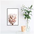 Picture of Soft Protea _GroupedProduct_Rectangle_Portrait_Photography _GroupedProduct_Rectangle_Portrait_Canvas_Framed_