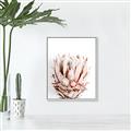 Picture of Soft Protea _GroupedProduct_Rectangle_Portrait_Photography _GroupedProduct_Rectangle_Portrait_Canvas_Framed_
