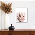 Picture of Soft Protea _GroupedProduct_Rectangle_Portrait_Photography _GroupedProduct_Rectangle_Portrait_Canvas_Framed_