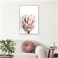 Picture of Soft Protea _GroupedProduct_Rectangle_Portrait_Photography _GroupedProduct_Rectangle_Portrait_Canvas_Framed_