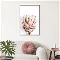 Picture of Soft Protea _GroupedProduct_Rectangle_Portrait_Photography _GroupedProduct_Rectangle_Portrait_Canvas_Framed_