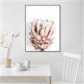 Picture of Soft Protea _GroupedProduct_Rectangle_Portrait_Photography _GroupedProduct_Rectangle_Portrait_Canvas_Framed_