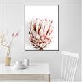 Picture of Soft Protea _GroupedProduct_Rectangle_Portrait_Photography _GroupedProduct_Rectangle_Portrait_Canvas_Framed_