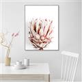 Picture of Soft Protea _GroupedProduct_Rectangle_Portrait_Photography _GroupedProduct_Rectangle_Portrait_Canvas_Framed_