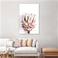 Picture of Soft Protea _GroupedProduct_Rectangle_Portrait_Photography _GroupedProduct_Rectangle_Portrait_Canvas_Framed_